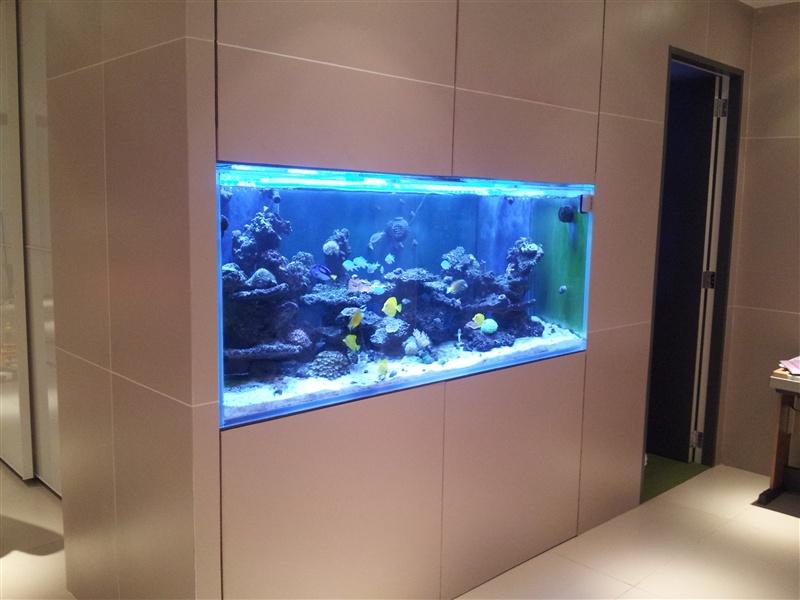 Custom Aquariums Huntington, Aquarium Maintenance